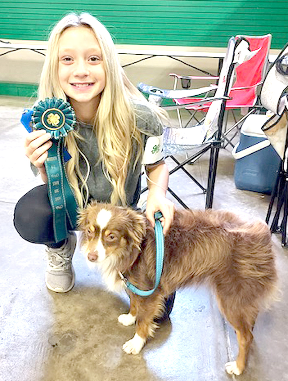 local-residents-awarded-at-4-h-state-dog-horse-shows-news-sports